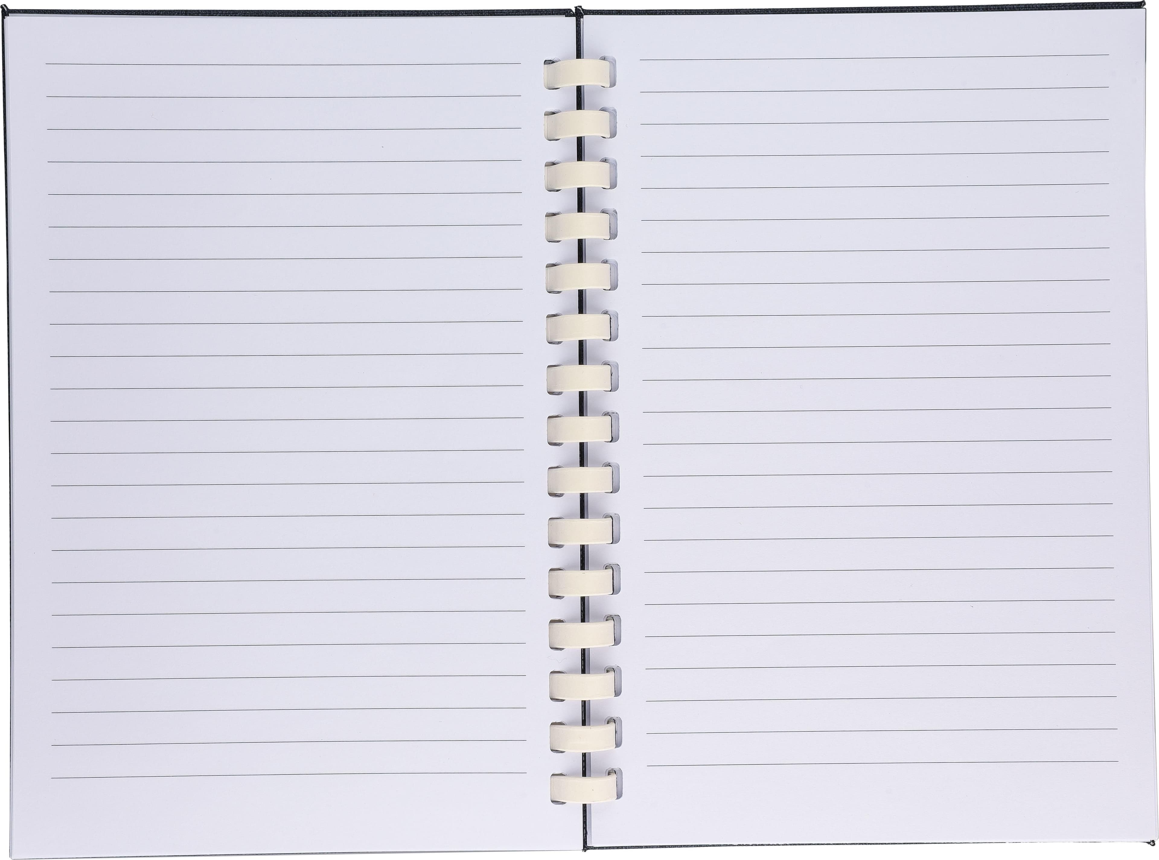rPET-Notizbuch (A5) Ilias Original