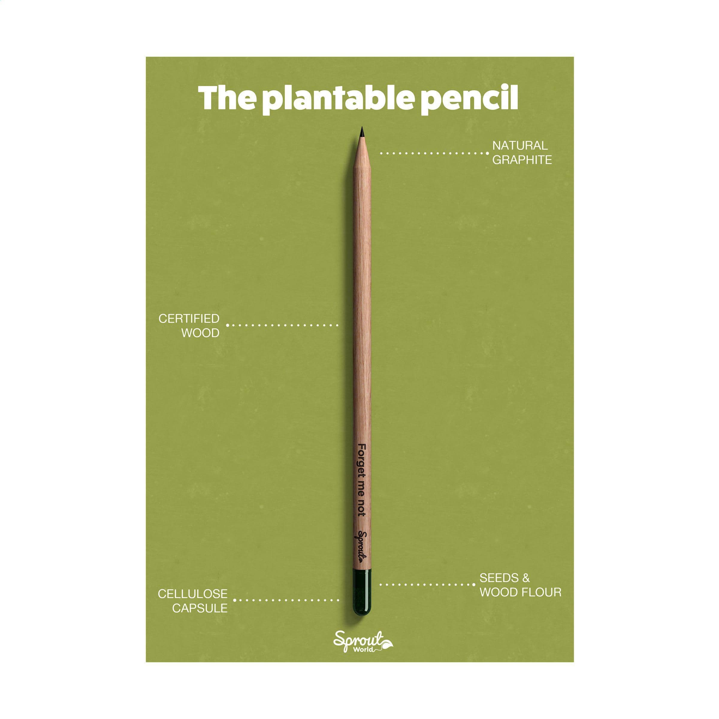 Sproutworld Unsharpened Pencil Bleisstift ungespitzt