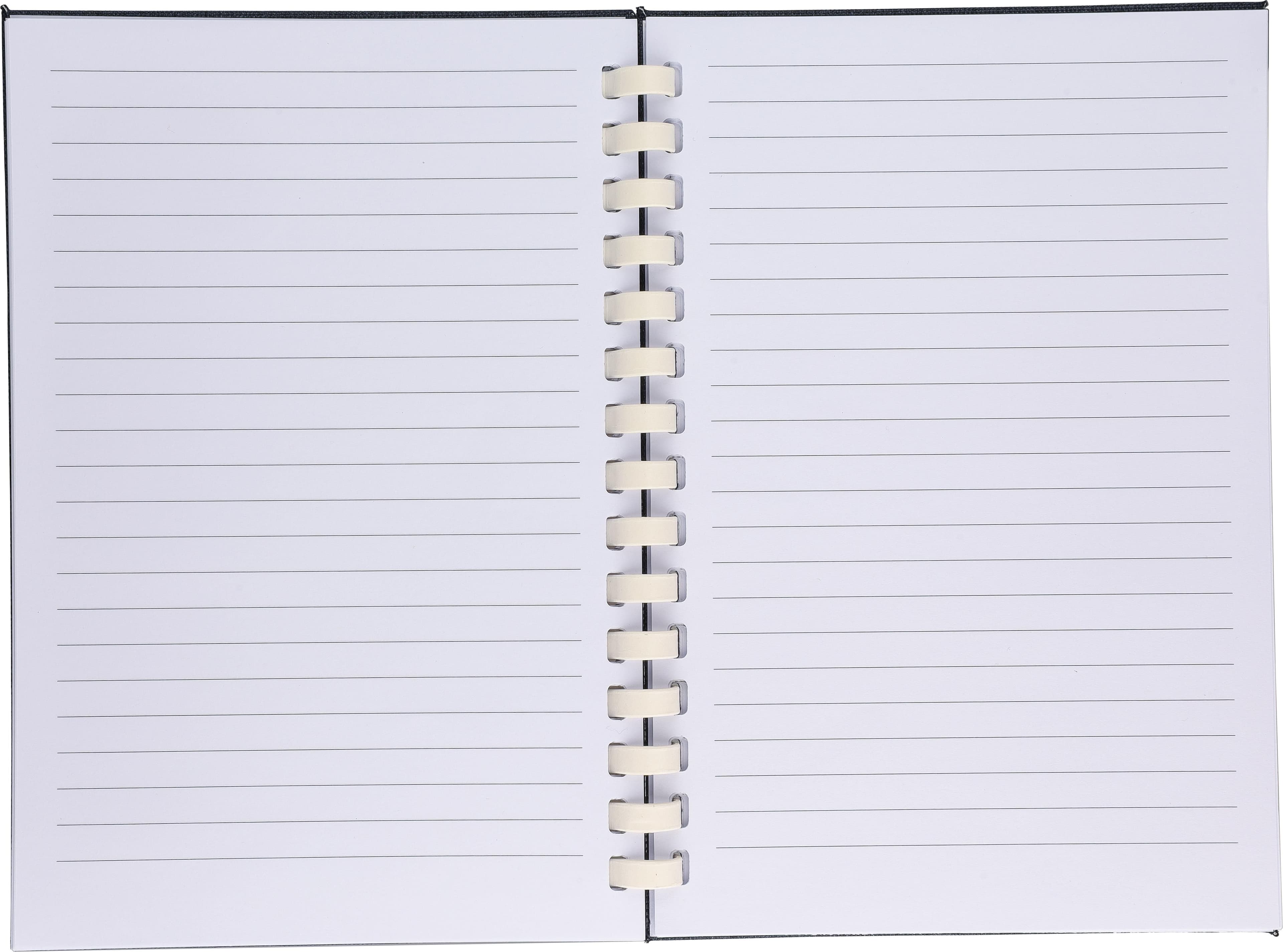 rPET-Notizbuch (A5) Ilias