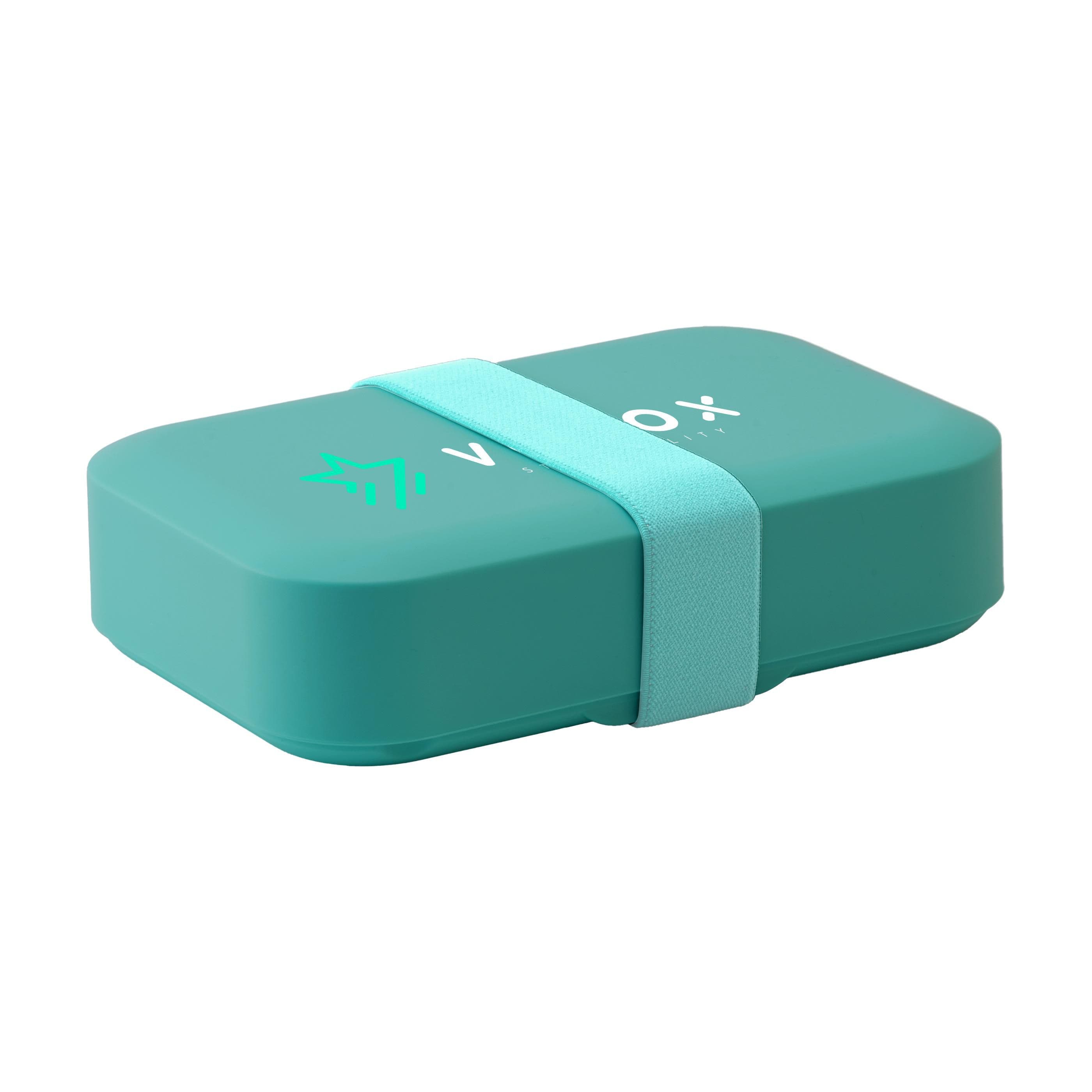 Day to Day Lunchbox Elastic 1100 ml Brotdose