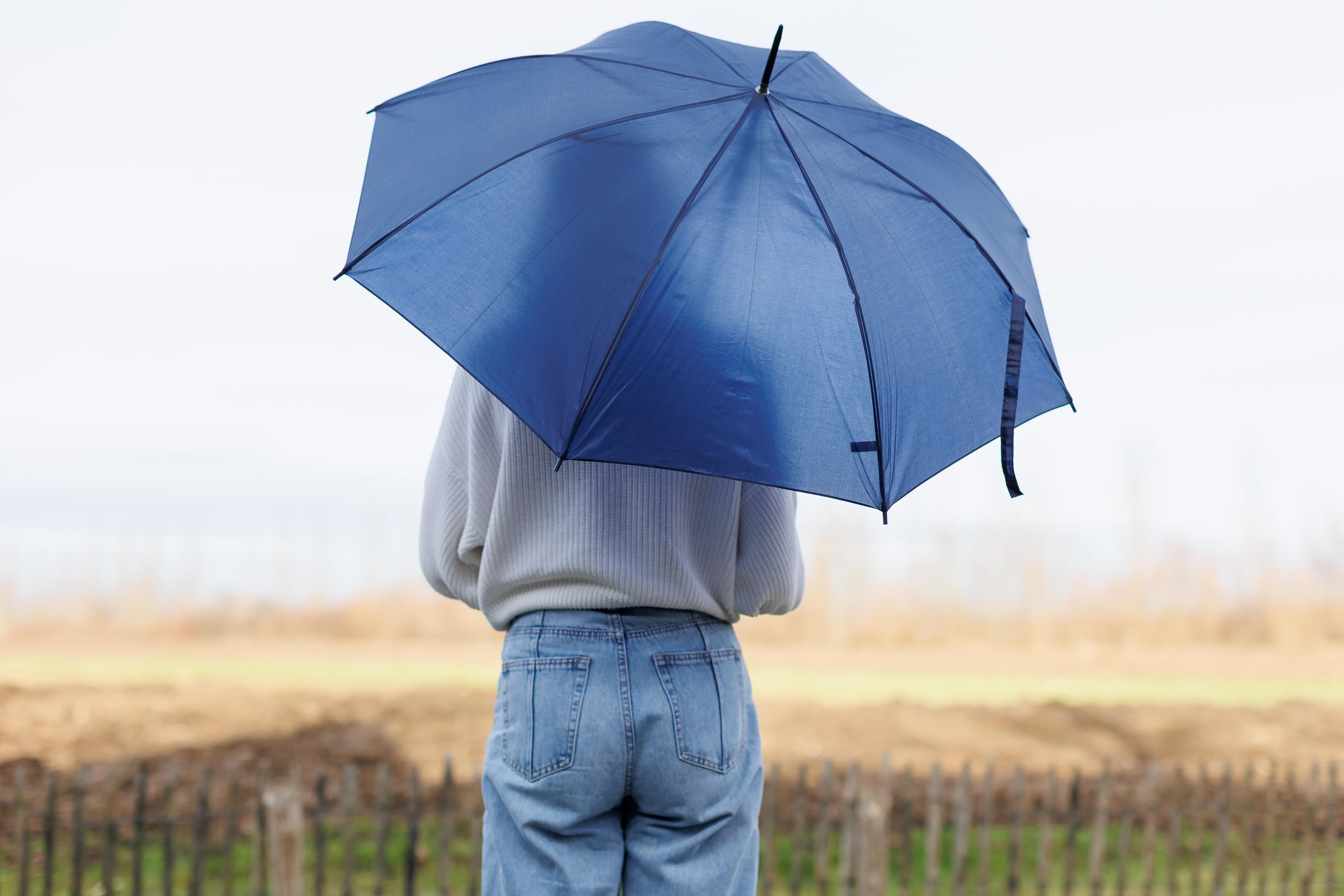 Regenschirm Andy
