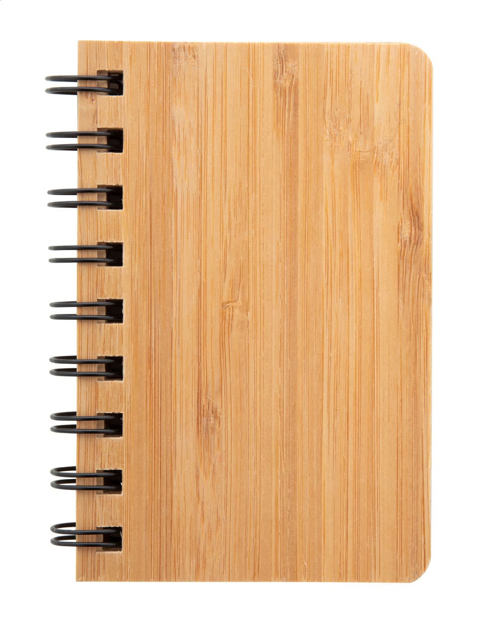 Adashi Noizbuch