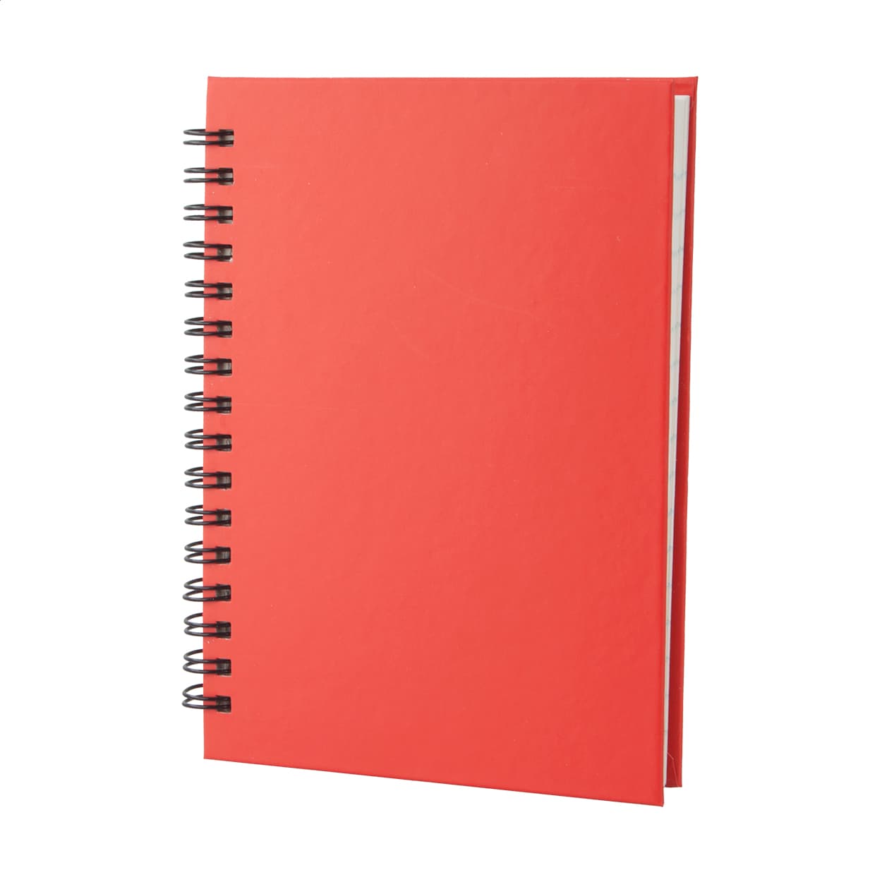 Cedrus A6 Notizbuch