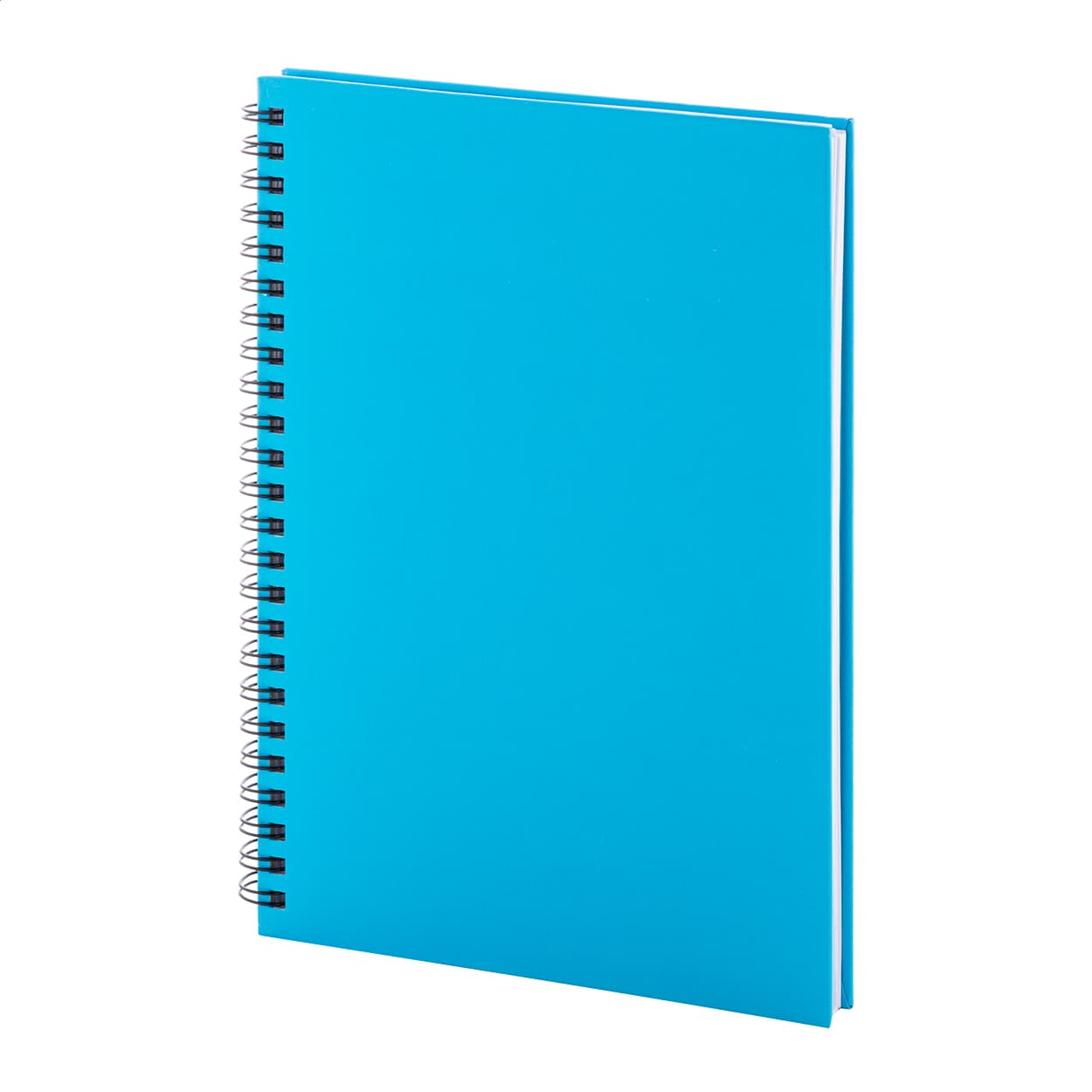Strobus A5 Notizbuch