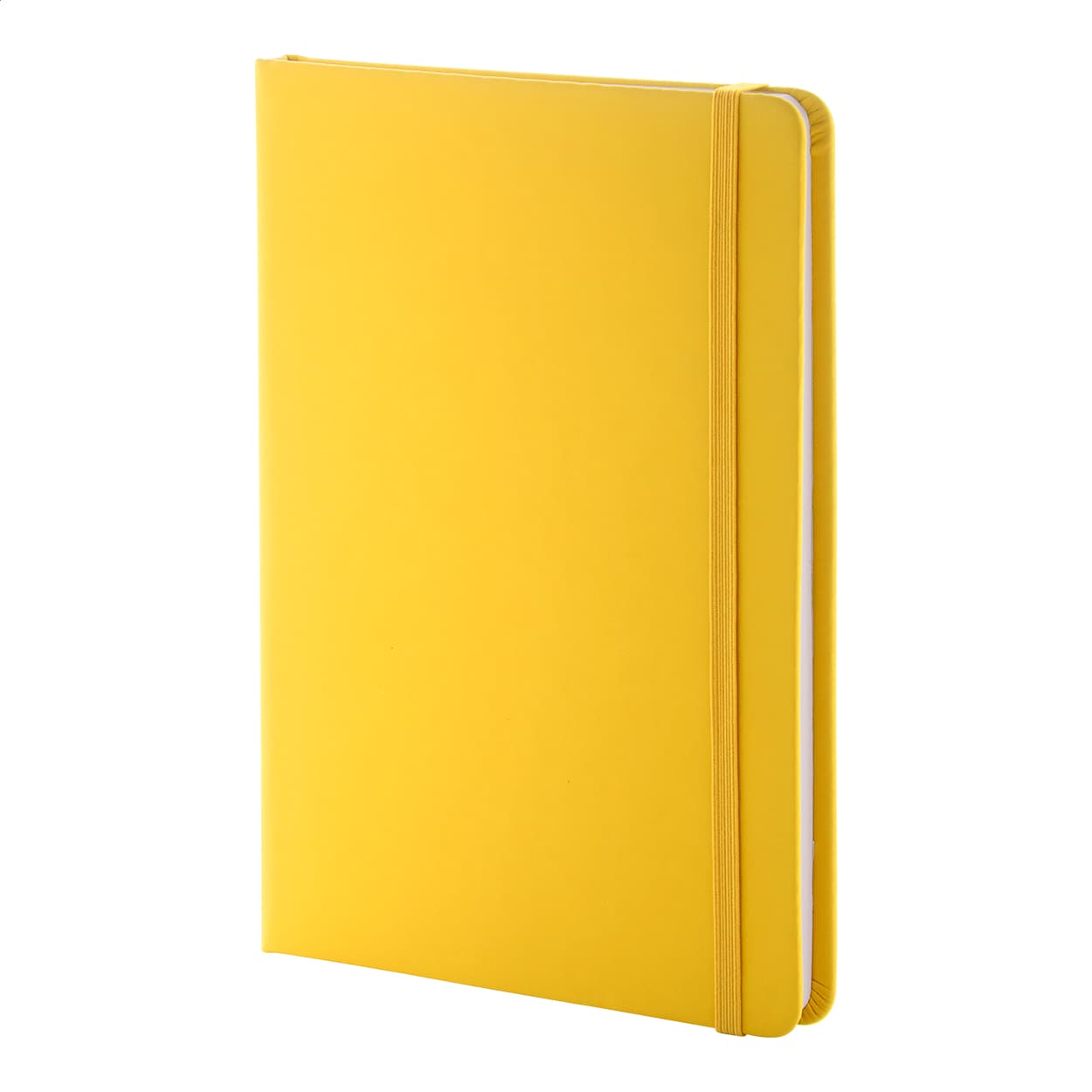 Repuk Line A5 RPU Notizbuch