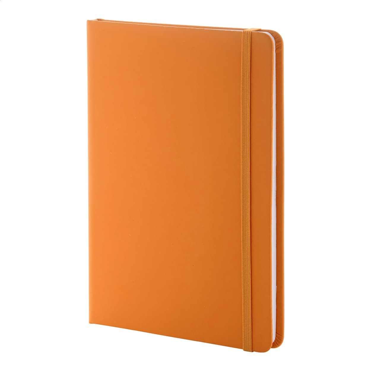Repuk Line A5 RPU Notizbuch