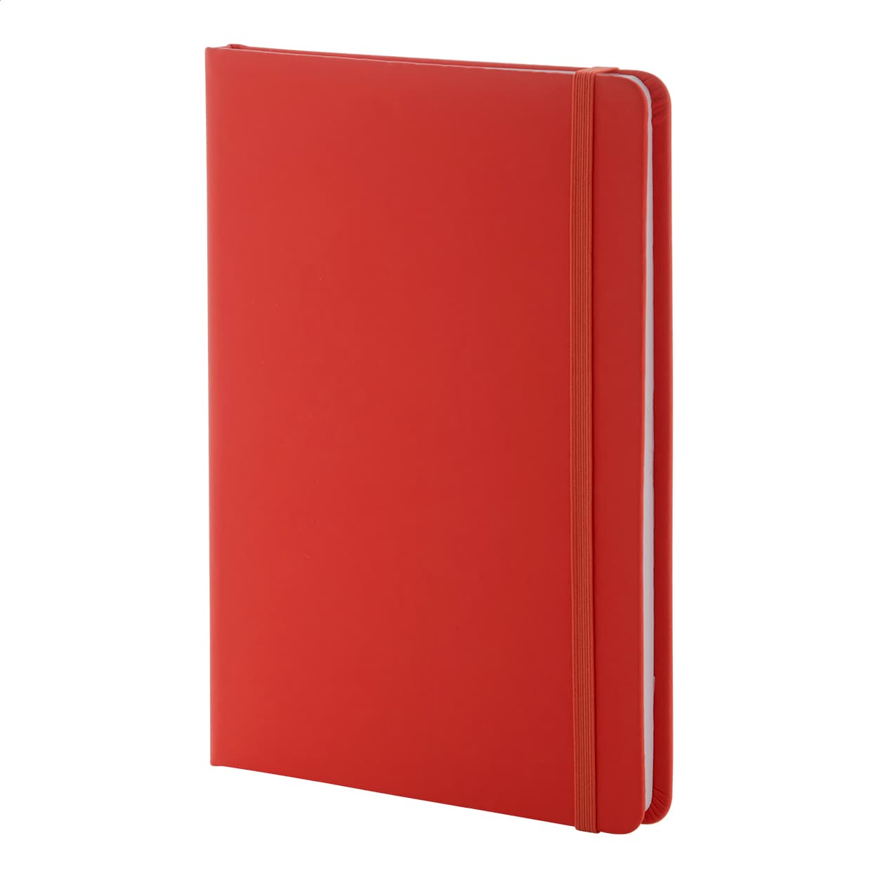 Repuk Line A5 RPU Notizbuch